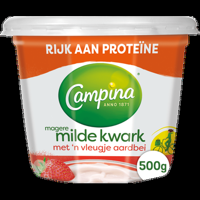 Campina Magere Milde Kwark met &apos;n Vleugje Aardbei 500 g bij Jumbo - thumbnail