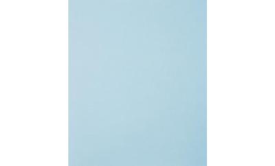 PFERD TOOLS 45015120 Handschuurpapier Korrelgrootte (num) 1200 (l x b) 280 mm x 230 mm 50 stuk(s) PFERD TOOLS 45015120 Handschuurpapier Korrelgrootte (num) 1200 (l x b) 280 mm x 230 mm 50 stuk(s)