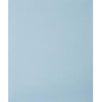 PFERD TOOLS 45015100 Handschuurpapier Korrelgrootte (num) 1000 (l x b) 280 mm x 230 mm 50 stuk(s)