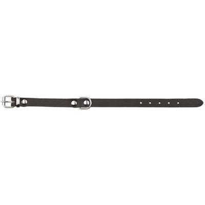 Trixie Basic Halsband - L: 45-54cm / 22m - Zwart - Voor Hond