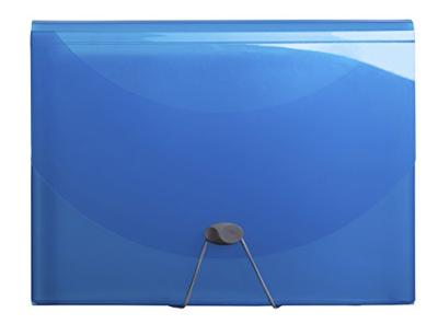 Exacompta Iderama sorteermap, uit PP, met 13 vakken, geassorteerde kleuren Exacompta Iderama sorteermap, uit PP, met 13 vakken, geassorteerde kleuren