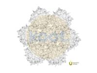 Slamp - Veli 7 Hanglamp - thumbnail