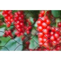 Tuinnet grofmazig 5 x 2 meter - thumbnail