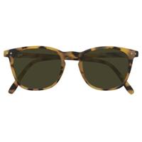 Zonnebril Croon ALEX-Ocher havanna - thumbnail