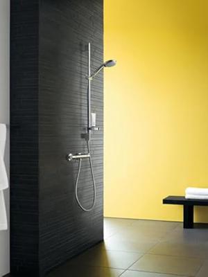 Hansgrohe Ecostat douche thermostaatkraan mat wit - thumbnail