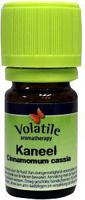 Volatile Kaneel - thumbnail
