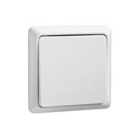 ELSO-toets 506204 42V/1A opbouw RENOVATIE rw Wit 1 stuk(s) - thumbnail