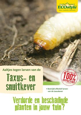 Ecostyle aaltjes tegen larven taxus-kever H 10 m²