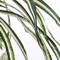 Mica Decorations kunstplant chlorophytum 45cm groen - thumbnail