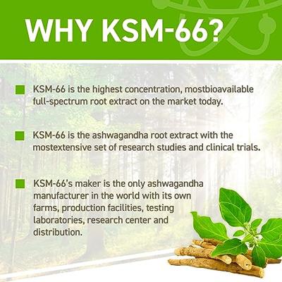 Applied Nutrition Ashwagandha KSM66 (60 caps) - thumbnail