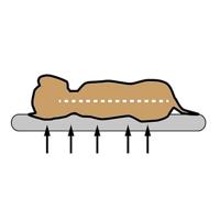 Sun Garden lou orthopedisch hondenkussen 120x85x5cm grijs - thumbnail