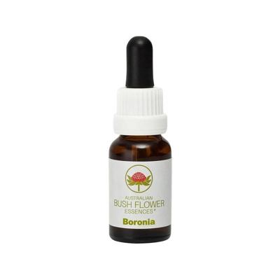 Australian Bush Boronia 15 Milliliter Australian Bush Boronia 15 Milliliter