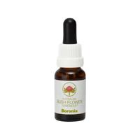 Australian Bush Boronia 15 Milliliter - thumbnail