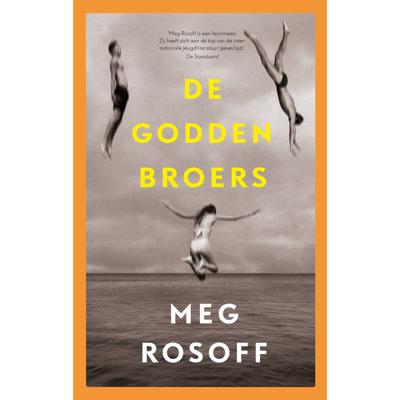 De Godden broers (Hardback)