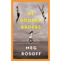 De Godden broers (Hardback) - thumbnail