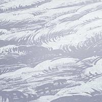 Architects Paper Jungle Chic grijs behang | 377054 - thumbnail