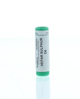 Homeoden Heel Hepar sulphur D6 1 Gram