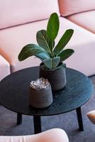 Pottery Pots Bloempot Patt XL Ø23x19,5cm - Black Washed - thumbnail