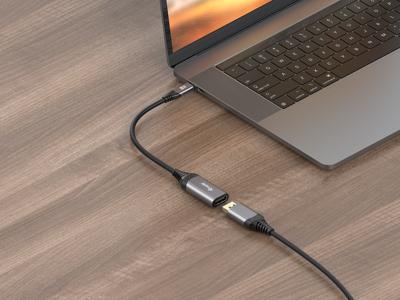 Equip 133493 video kabel adapter 0,15 m USB Type-C DisplayPort Zwart, Grijs