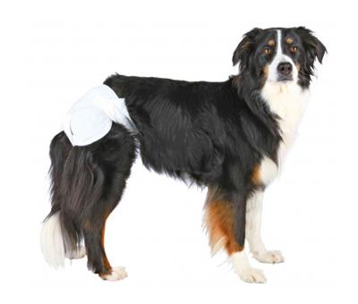 Luiers Trixie 23631 Hond XS/S - thumbnail