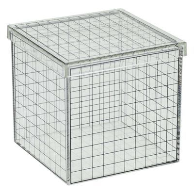 Transparante 3D Rasterkubus - 10x10x10 cm