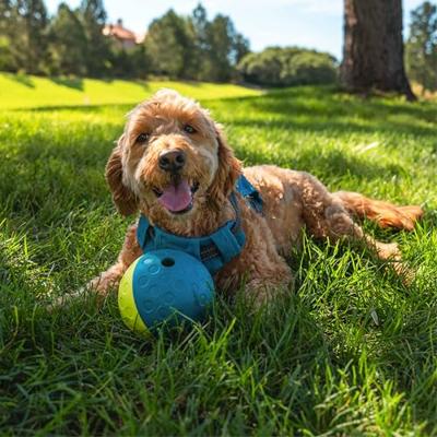 NINA OTTOSSON DOG TREAT TUMBLE BLAUW - thumbnail