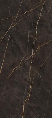 Saint Laurent polished 120x280 rett