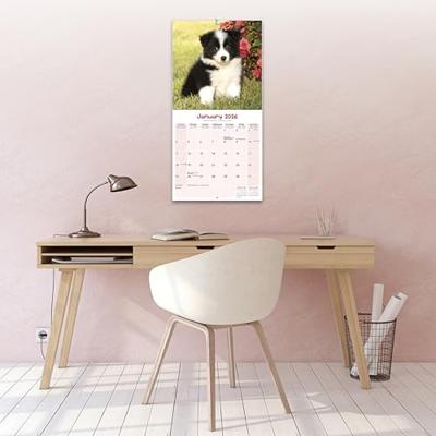 Puppies Kalender 2026 Puppies Kalender 2026