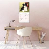 Puppies Kalender 2026 - thumbnail
