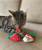 Yeowww! Strawberry White Chocolate - thumbnail