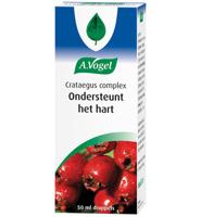 A Vogel Crataegus + valeriaan druppels 50 Milliliter - thumbnail