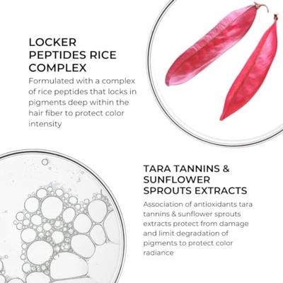 Phyto Phytocolor Color Protecting Mask 200 ml Maskers Phyto Phytocolor Color Protecting Mask 200 ml Maskers