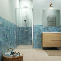 Draaideur in nis helder veiligheidsglas met antikalklaag Sealskin Inc. 100x200 cm Zilver hoogglans - thumbnail