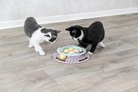 Trixie junior kitten circle - thumbnail