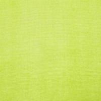 Voile Gordijnen met doorvoertules 2 st 140x300 cm appelgroen - thumbnail