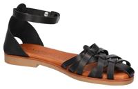 Cosmos 6308801 - alle - thumbnail