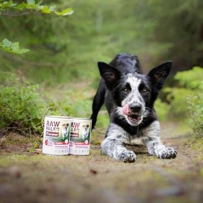 VETEXPERT Raw Paleo Puppy Monoproteïne Rund - natvoer voor puppy's - 400 g