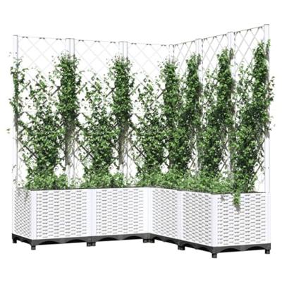 Plantenbak met latwerk 120x120x136 cm polypropeen wit Plantenbak met latwerk 120x120x136 cm polypropeen wit