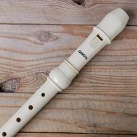 Hage MusikVerlag EH 3908 Lilli's Recorder, Duitse boring - thumbnail