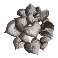 Metalen Wanddecoratie Hartvormige Bladeren Naturel - thumbnail