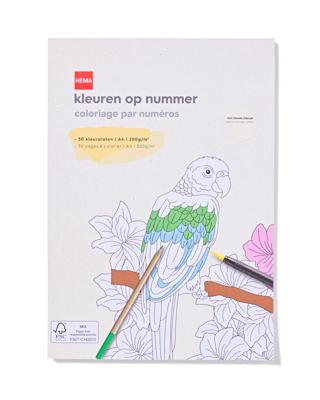 HEMA Kleurboek A4 Op Nummer
