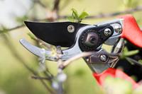 Meister Snoeischaar Bypass Alu Re - WU9719000 - thumbnail