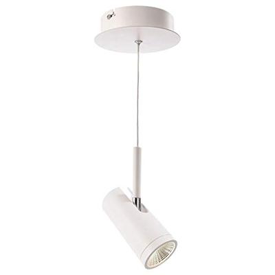 Deko Light Dabih 348037 LED-hanglamp LED LED vast ingebouwd Energielabel: E (A - G) 7.2 W Wit