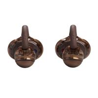 JBL Soundgear Clips Oordopjes Bruin - thumbnail
