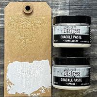 Ranger Ink Ranger • tim holtz distress crackle paste translucent - thumbnail