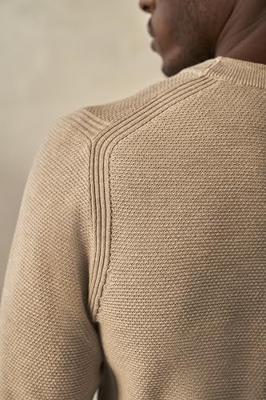 Dstrezzed heren trui creme