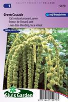 Amaranthus Caudatus zaden Green Cascade - thumbnail