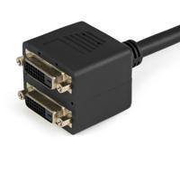 StarTech.com DVI-D naar 2x DVI-D 30 cm splitter kabel - Dual Link DVI25 Y-kabel - mannelijk/2x vrouwelijk - DVI-adapter vergulde contacten (DVISPL1DD) - thumbnail