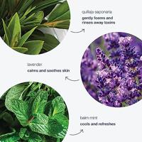 Dermalogica Special Cleansing Gel - thumbnail