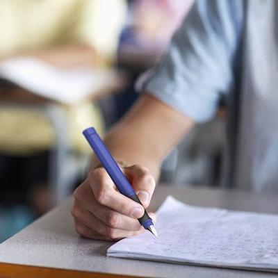 Schneider S-160226 Vulpen Base M Rechtshandig Soft Green Schneider S-160226 Vulpen Base M Rechtshandig Soft Green